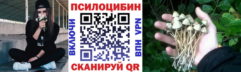 Псилоцибиновые грибы мицелий  наркота  Химки 