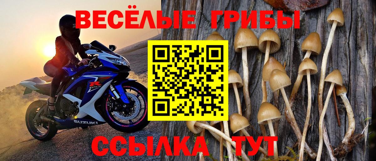Галлюциногенные грибы Magic Shrooms Химки