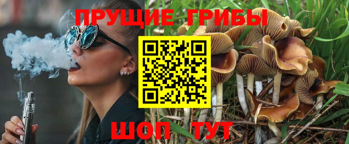 Псилоцибиновые грибы Cubensis  Вход с VPN  Псилоцибиновые грибы GOLDEN TEACHER  Химки 